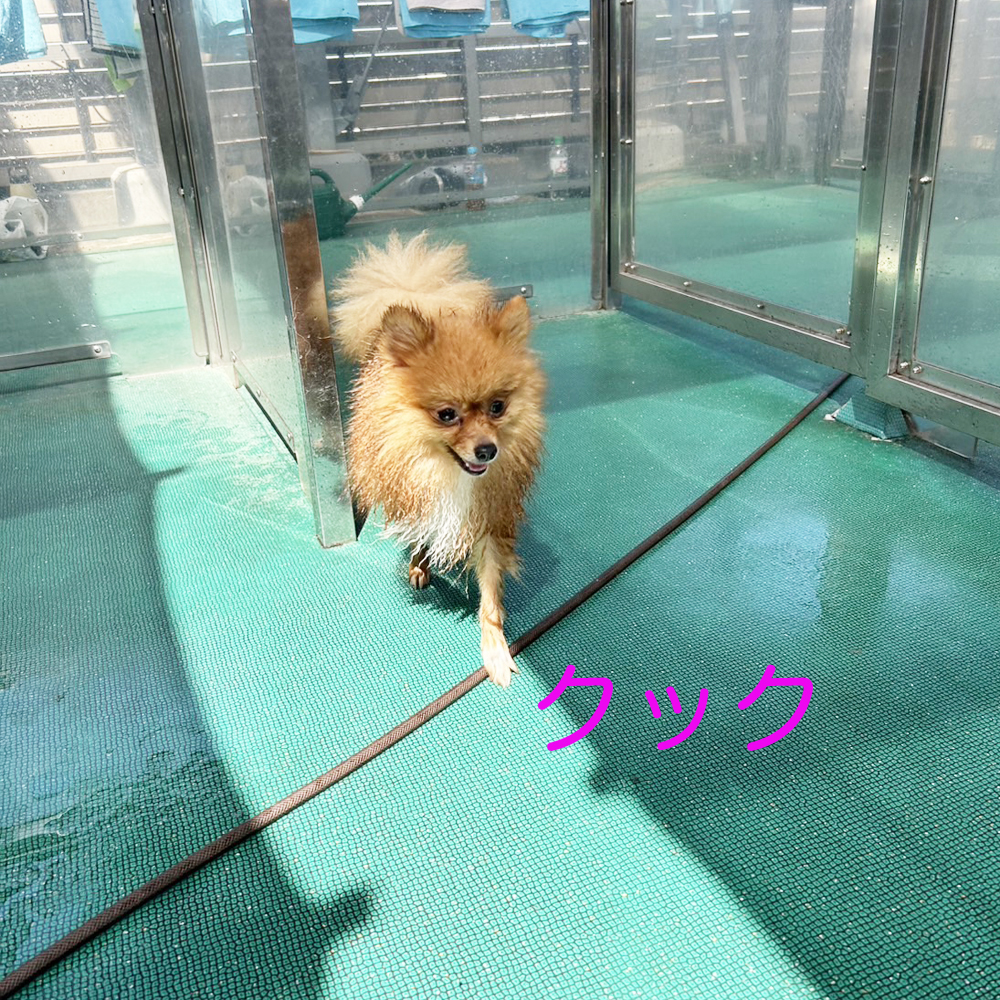 生徒が撮影してくれた写真☆